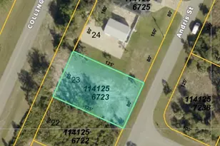 Andris Lot #23 St, North Port, FL 34288 - Photo 1