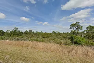 237 Sandpiper St, Lake Placid, FL 33852 - Photo 1