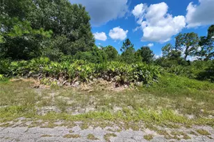 1402 State Ave, Lehigh Acres, FL 33972 - Photo 1