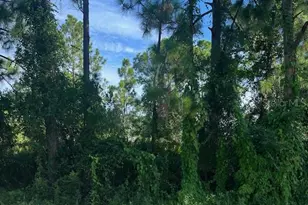 Gancedo Ave, North Port, FL 34291 - Photo 1