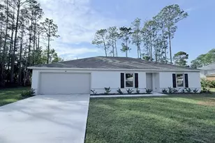 41 Post Tree Ln, Palm Coast, FL 32164 - Photo 1