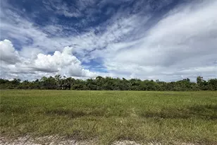 13368 Alewife Ln, Placida, FL 33946 - Photo 1