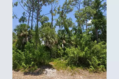 10046 Flat River Street, Port Charlotte, FL 33981 - Photo 1