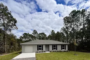 10720 Zigler Ave, Hastings, FL 32145 - Photo 1
