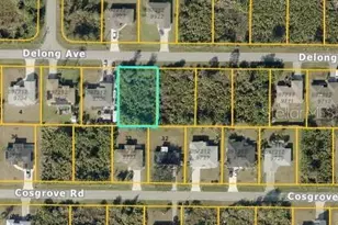 Delong Ave, North Port, FL 34291 - Photo 1