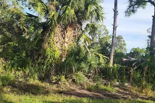 3278 Callisto St, Port Charlotte, FL 33981 - Photo 1