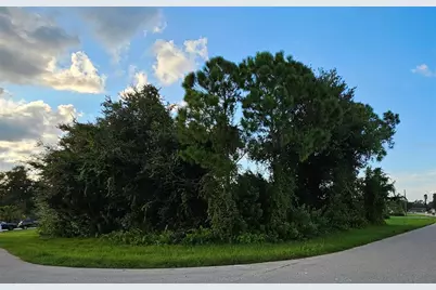 133 Valdiva Street, Punta Gorda, FL 33983 - Photo 1
