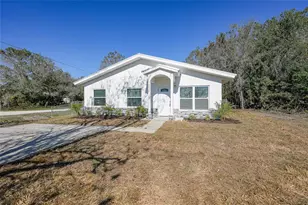 3850 SE County Road 760A, Arcadia, FL 34266 - Photo 1