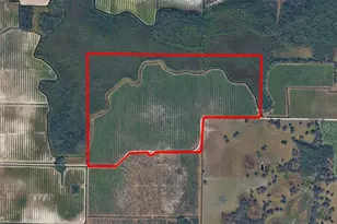 73rd Ave E, Myakka City, FL 34251 - Photo 1