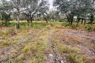 4683 SE Rye Ave, Arcadia, FL 34266 - Photo 1