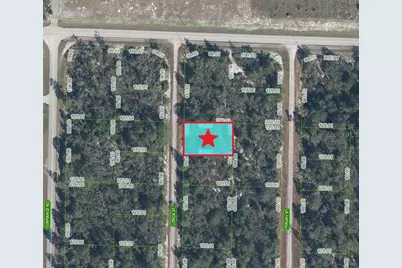1255 Lorca Street, Lake Placid, FL 33852 - Photo 1
