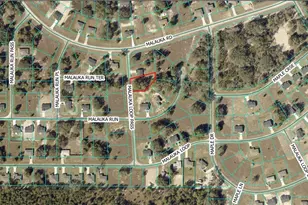 Malauka Loop Pass, Ocklawaha, FL 32179 - Photo 1