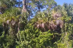 5409 Callaway St, Port Charlotte, FL 33981 - Photo 1