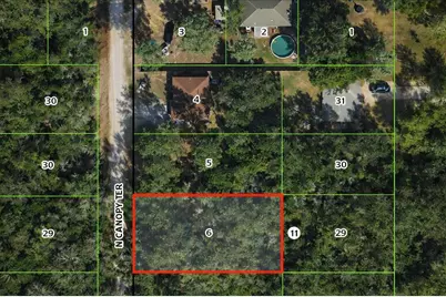 6619 N Canopy Terrace, Hernando, FL 34442 - Photo 1