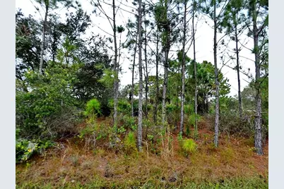 Loffreda Lot #8 Avenue, North Port, FL 34291 - Photo 1