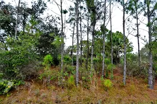 Loffreda Lot #8 Ave, North Port, FL 34291 - Photo 1