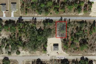 6787 N Pavilion Loop, Citrus Springs, FL 34433 - Photo 1