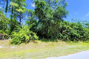 Delmonte St, North Port, FL 34288 - Photo 1