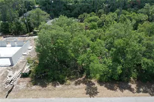 88 Bamboo Dr, Port Charlotte, FL 33954 - Photo 1