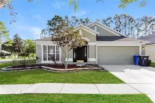 13302 Evening Sunset Ln, Riverview, FL 33579 - Photo 1