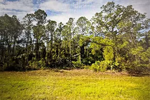 Tropicaire Blvd, North Port, FL 34291 - Photo 1