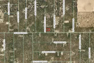 SW Pineapple Hill Dr, Dunnellon, FL 34431 - Photo 1