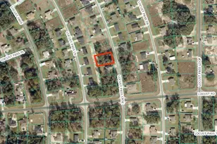 Locus Pass Course, Ocklawaha, FL 32179 - Photo 1