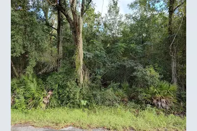 6869 W Van Buren Drive, Homosassa, FL 34448 - Photo 1