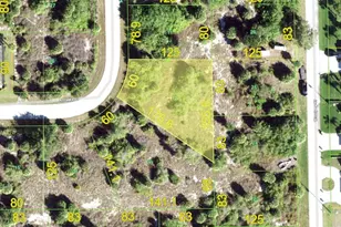 10284 Arcadia St, Port Charlotte, FL 33981 - Photo 1