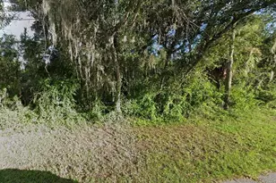 Alfa Terrace, North Port, FL 34286 - Photo 1