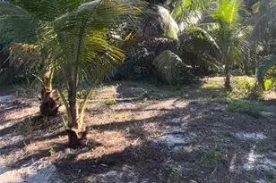 8508 Little Gasparilla Island, Placida, FL 33946 - Photo 1