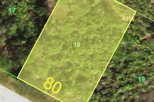 14232 Onslow Ln, Port Charlotte, FL 33981 - Photo 1