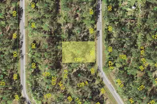 1113 Sherwin St, Port Charlotte, FL 33953 - Photo 1