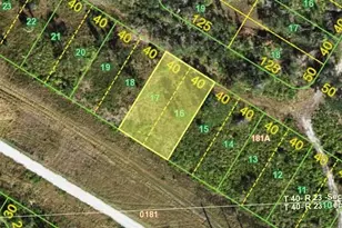 27401 Amsterdam Dr, Punta Gorda, FL 33983 - Photo 1