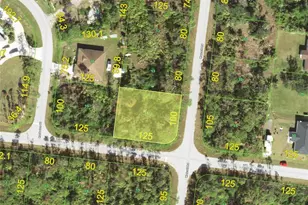 12396 Sylvan St, Port Charlotte, FL 33981 - Photo 1