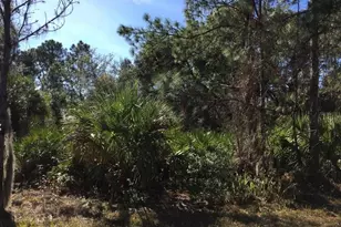 14415 Maddock Ave, Port Charlotte, FL 33953 - Photo 1