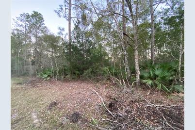 6183 Nutwood Avenue, Bunnell, FL 32110 - Photo 1