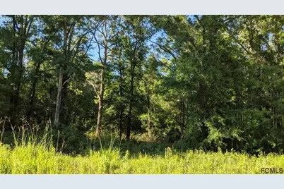 4927 Jonathan St, Hastings, FL 32145 - Photo 1