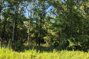 4927 Jonathan St, Hastings, FL 32145 - Photo 1