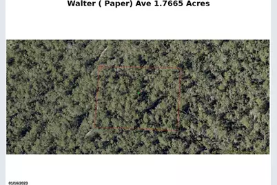 Walter Paper Avenue, Lake Helen, FL 32744 - Photo 1