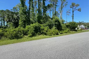 64 Emerson Dr, Palm Coast, FL 32164 - Photo 1