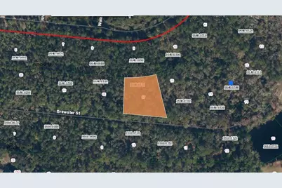 223 Brewster Street, Satsuma, FL 32189 - Photo 1