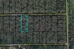 3681 Apple Ave, Bunnell, FL 32110 - Photo 1