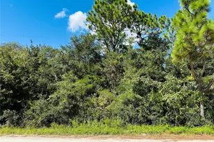 106 Sunland Dr, Satsuma, FL 32189 - Photo 1