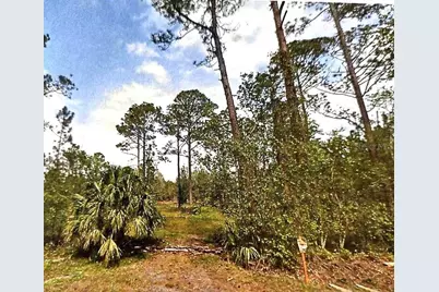 S US Hwy 17, Pierson, FL 32180 - Photo 1