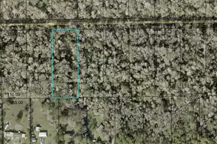 3853 Apple Ave, Bunnell, FL 32110 - Photo 1