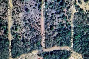 Lot 29 SW 57th Ave, Interlachen, FL 32148 - Photo 1