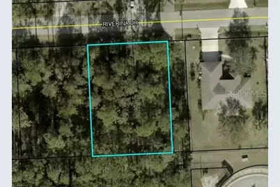 32 Riverina Drive, Palm Coast, FL 32164 - Photo 1