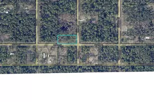 10735 Yeager Ave, Hastings, FL 32145 - Photo 1