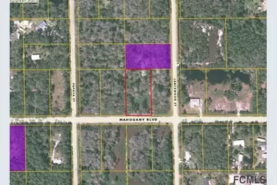 5014 N Mahogany Boulevard, Bunnell, FL 32110 - Photo 1